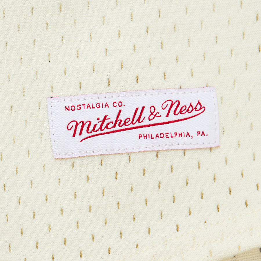 Mitchell & Ness 50th AOHH Bad Boys Baseball Jersey
