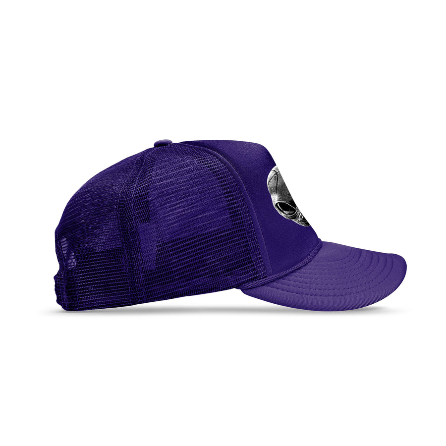 Hall Of Fame Ball Head Trucker Hat Purple