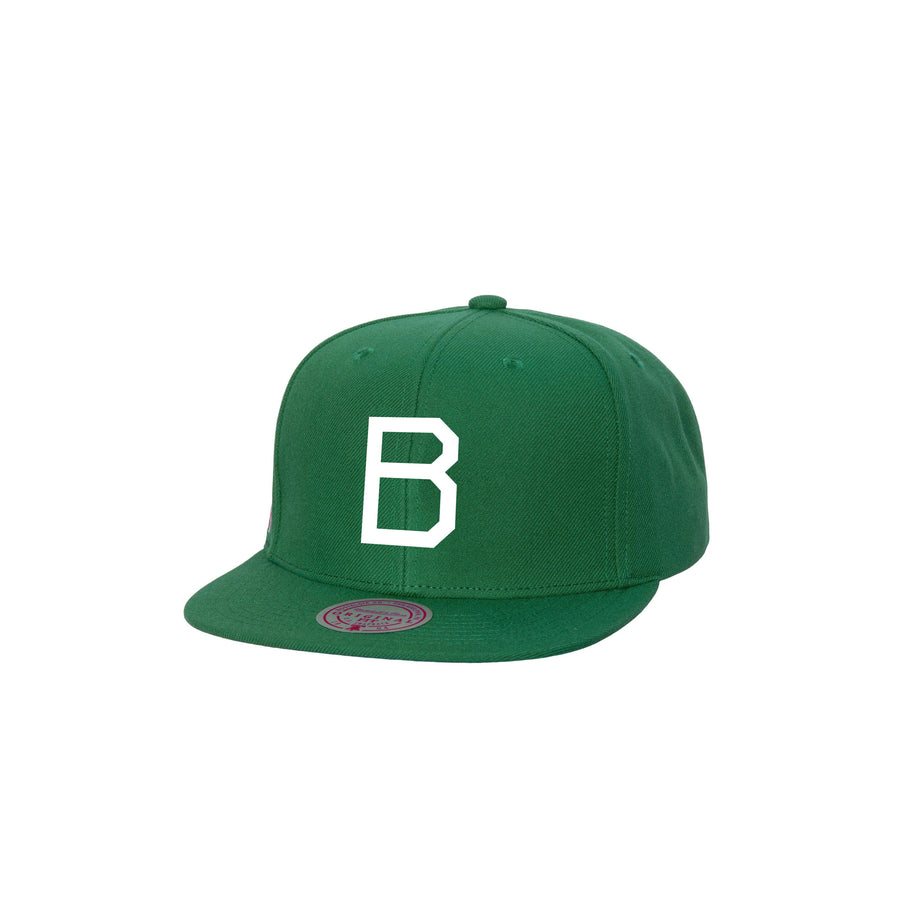 Mitchell & Ness MLB Evergreen Snapback Brooklyn Dodgers Green