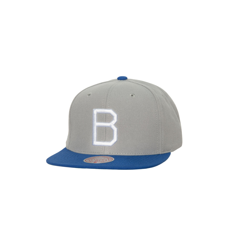 Mitchell & Ness MLB Evergreen Away Snapback Brooklyn Dodgers Grey