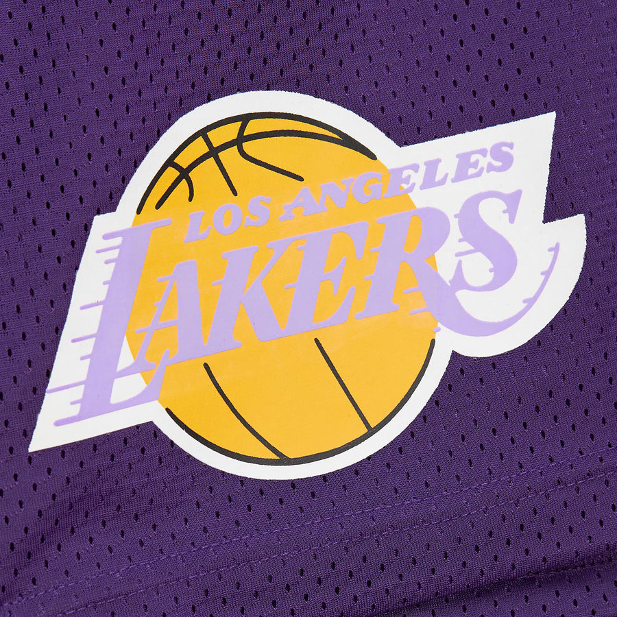 Mitchell & Ness Gameday Mesh Shorts Lakers